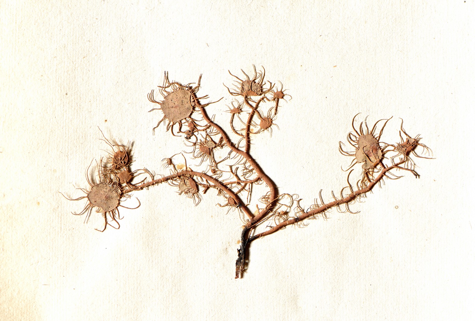Lot 4